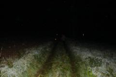 DSC04949