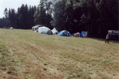 dg_36
