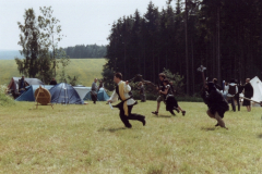 dg_43