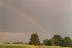 dg_72