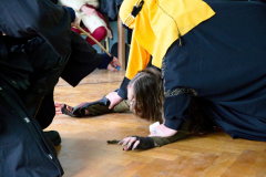 LARP_SH2_5_20150314_0602