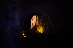 IMG_20151031_0587