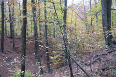 DSCN9789
